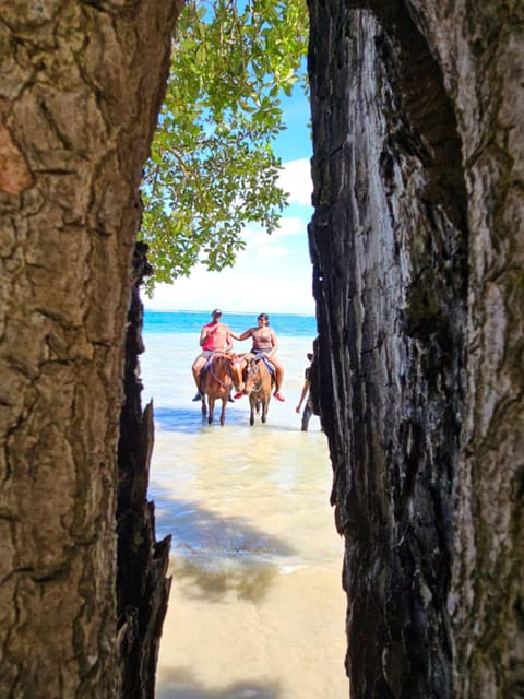 Ocho Rios: Scenic Horseback Riding Adventure - Scenic Trails and Flora