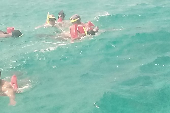 Ocho Rios Shore Excursion: Private Snorkel Tour - Whats Included