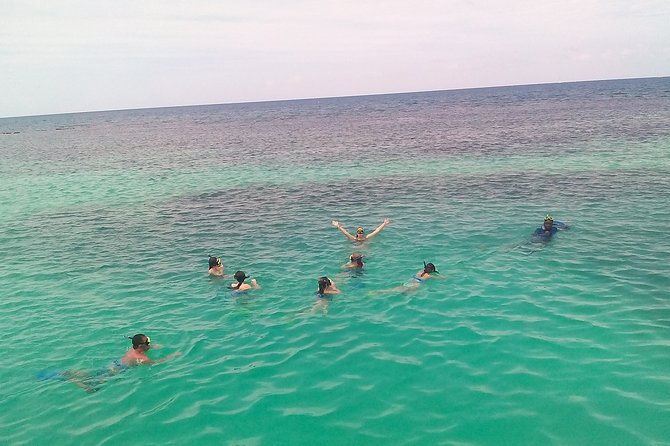 Ocho Rios Shore Excursion: Private Snorkel Tour - Booking Your Stay