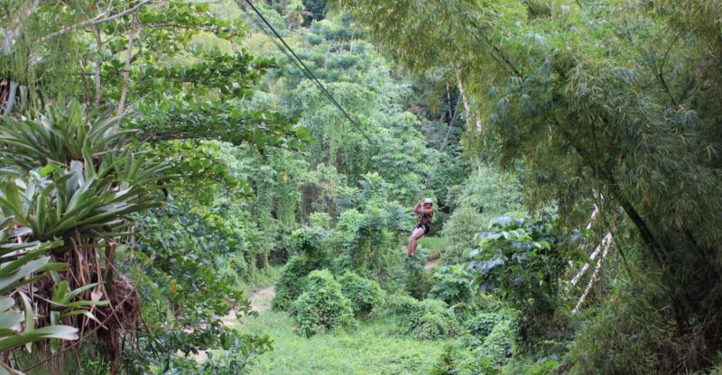 Ocho Rios: White River Jungle Zipline & Blue Hole Experience - Key Points