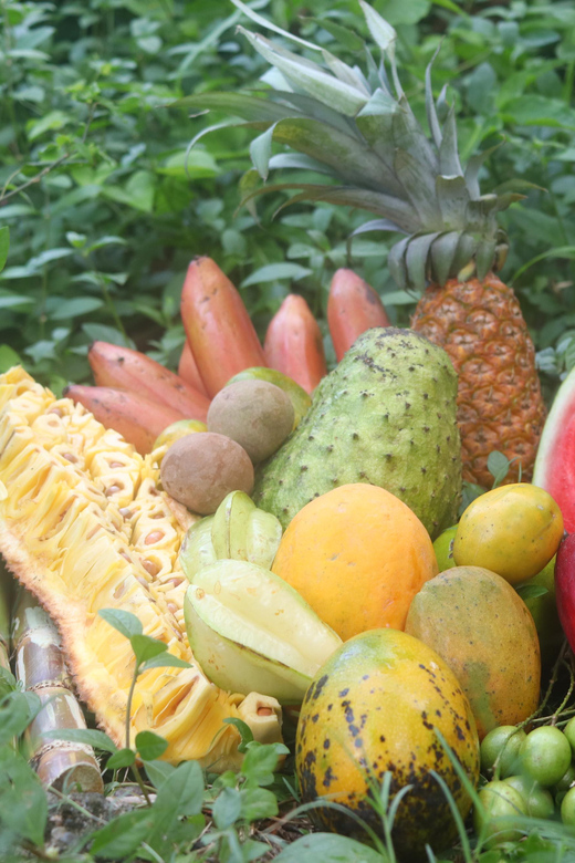 Ocho Ros: Hillside Cooking Class, Jamaican Style - Medicinal and Culinary Plant Learning
