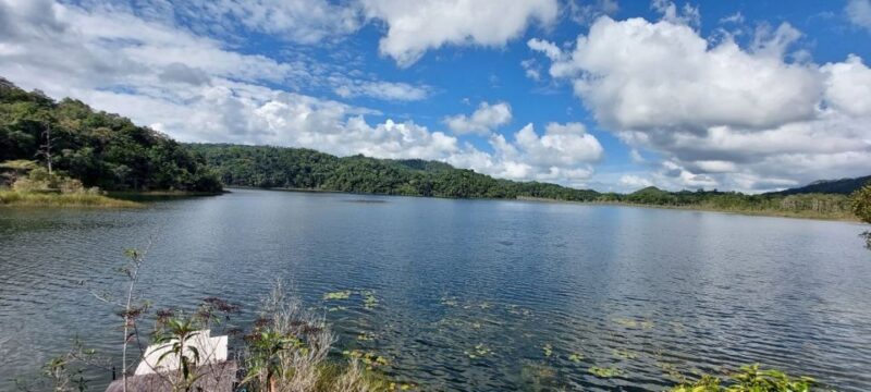 Ocosingo: Naha Ecotourism Center and Lacandona Jungle Tour - Key Points