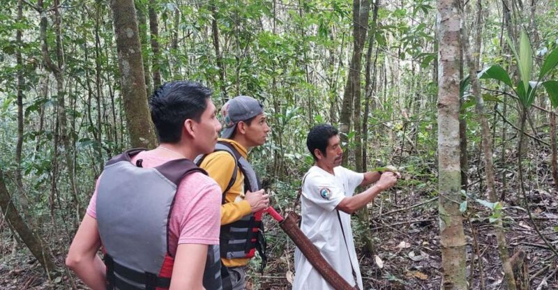 Ocosingo: Naha Ecotourism Center and Lacandona Jungle Tour - Itinerary Details