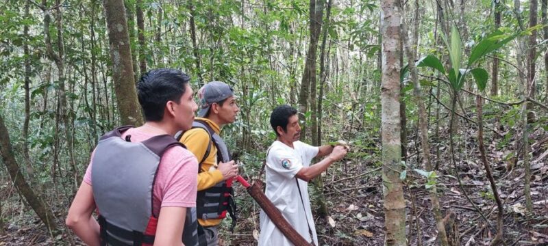 Ocosingo: Naha Ecotourism Center and Lacandona Jungle Tour - Wildlife and Scenic Highlights