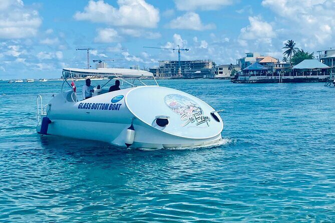 Oculus Glass Bottom Boat Tour - Key Points