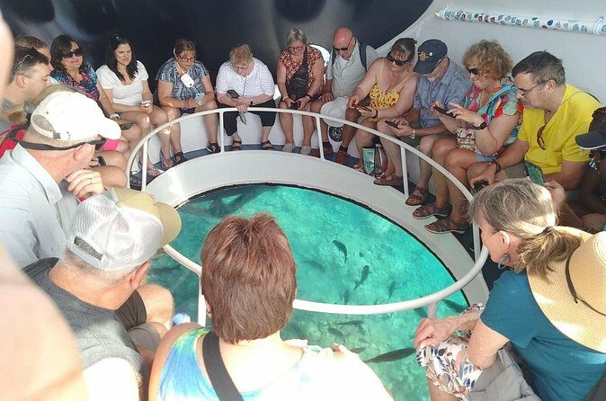 Oculus Glass Bottom Boat Tour - Safety, Comfort, and Group Size