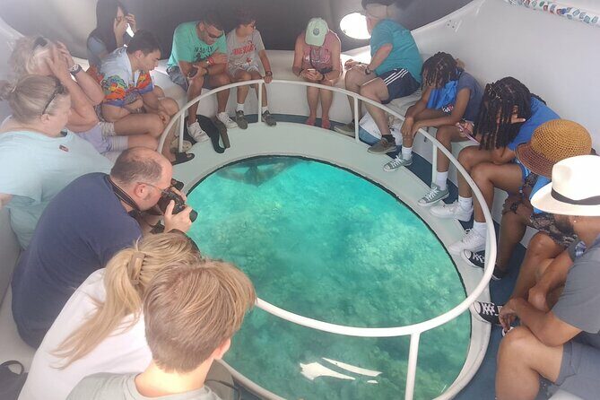 Oculus Glass Bottom Boat Tour - Review Insights: Authentic Traveler Experiences