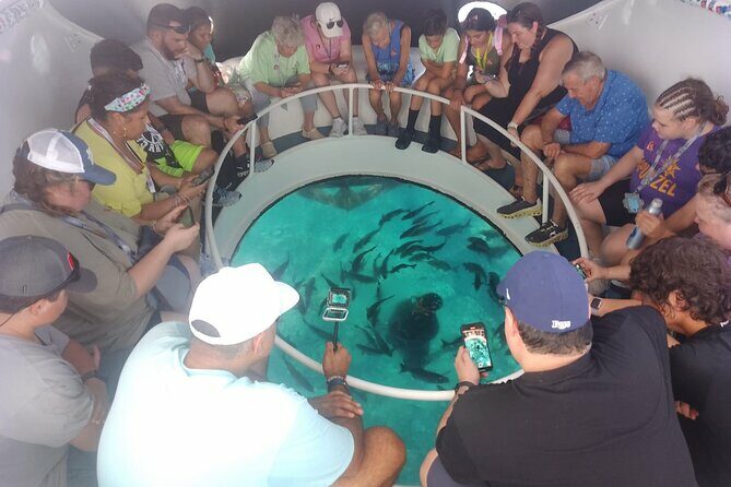 Oculus Glass Bottom Boat Tour - Price and Value: Is It Worth It?