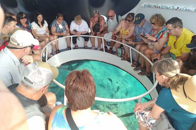 Oculus Glass Bottom Boat Tour - Practical Tips for Travelers