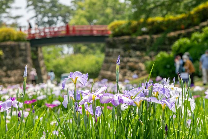 Odawara Castle and Town Guided Discovery Tour - Additional Tour Information