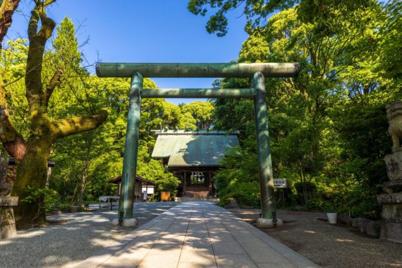 Odawara: Guided Ninja & Samurai Tour of Odawara Castle - Ninja Museum