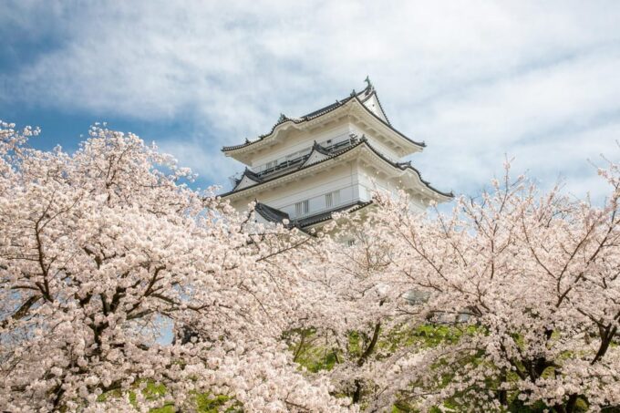 Odawara: Guided Ninja & Samurai Tour of Odawara Castle - Customer Reviews