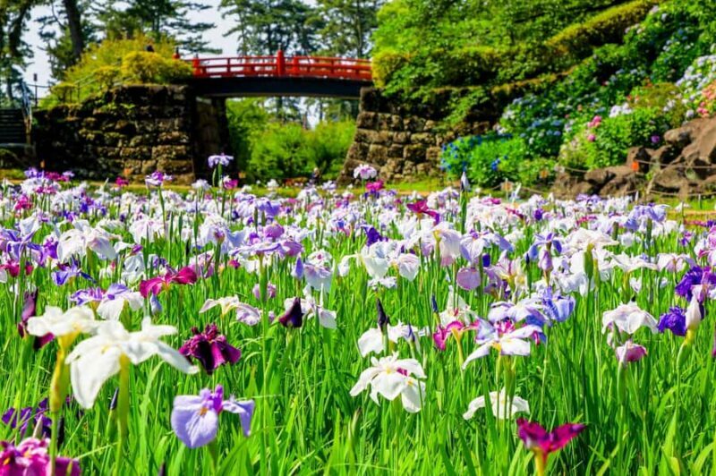 Odawara: Guided Ninja & Samurai Tour of Odawara Castle - Authenticity and Quality from Reviews