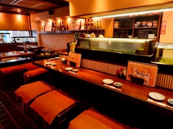 Odawara: Izakaya Dinner and Karaoke Experience With Geisha - Option for Hakone Geisha Accompaniment