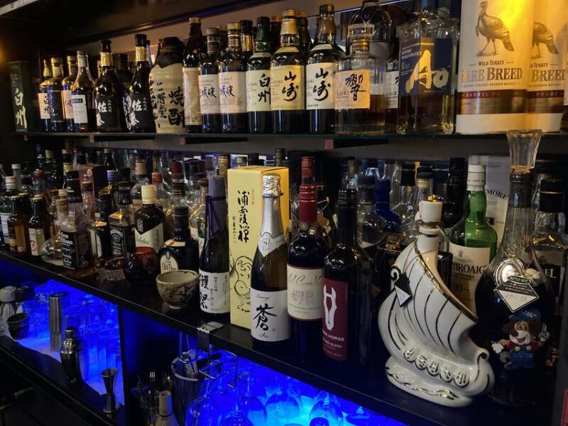 Odawara: Izakaya Dinner and Karaoke Lounge Experience - Key Points