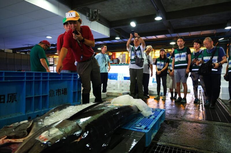 Odawara: Odawara Fish Market Experience - Itinerary Details