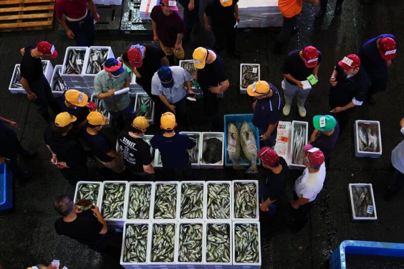 Odawara: Odawara Fish Market Experience - Unique Features