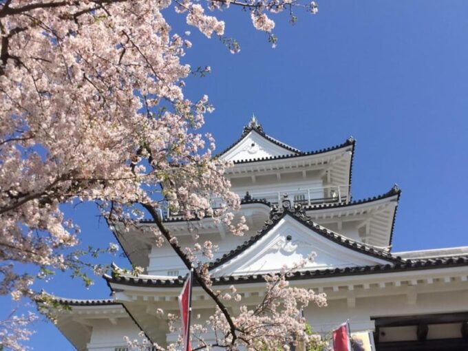 Odawara: Sushi Dinner and Karaoke Experience With Geisha - Hakone Geisha Accompaniment Elevates Experience