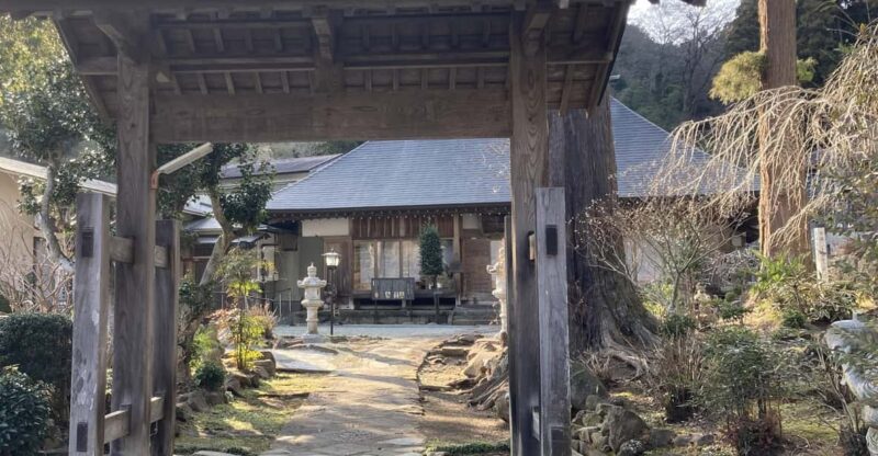 Odawara: Zazen Meditation and Tea Ceremony With Lunch - Savoring the Tea Ceremony