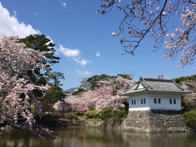 Odawara: Zen Meditation, Shojin Ryori Cuisine, and Tea Ceremony - Recommended Attire and Accessibility
