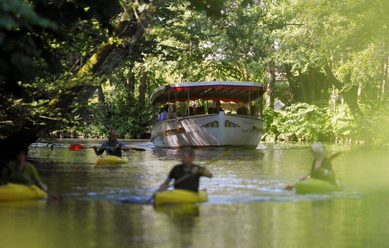 Odense: River Cruise on the Odense River - Highlights and Sightseeing Opportunities