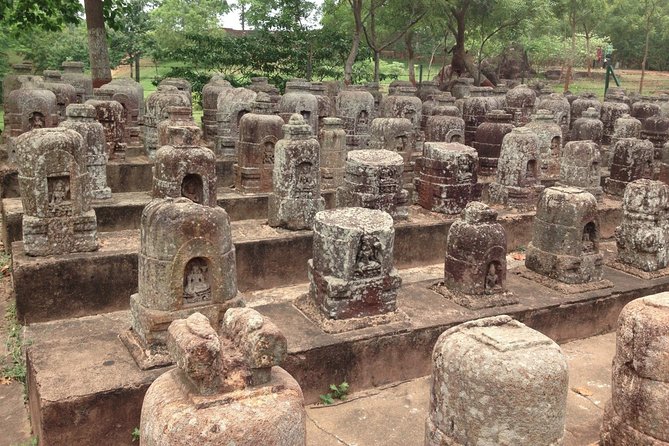 Odisha Temple & Beach - Inclusions and Exclusions