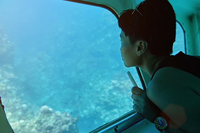 Odyssee 3: The Glass Bottom Boat Tour in Fuerteventura - Opportunities to Spot Marine Wildlife
