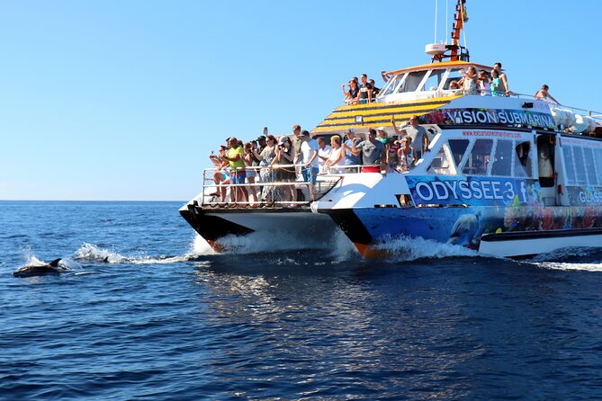 Odyssee 3: The Glass Bottom Boat Tour in Fuerteventura - Pickup and Meeting Arrangements