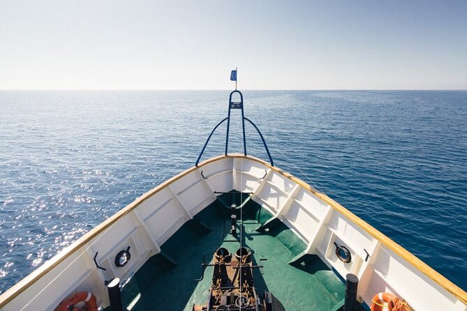 Odyssey Boat Safari From Larnaca - Itinerary and Meeting Points