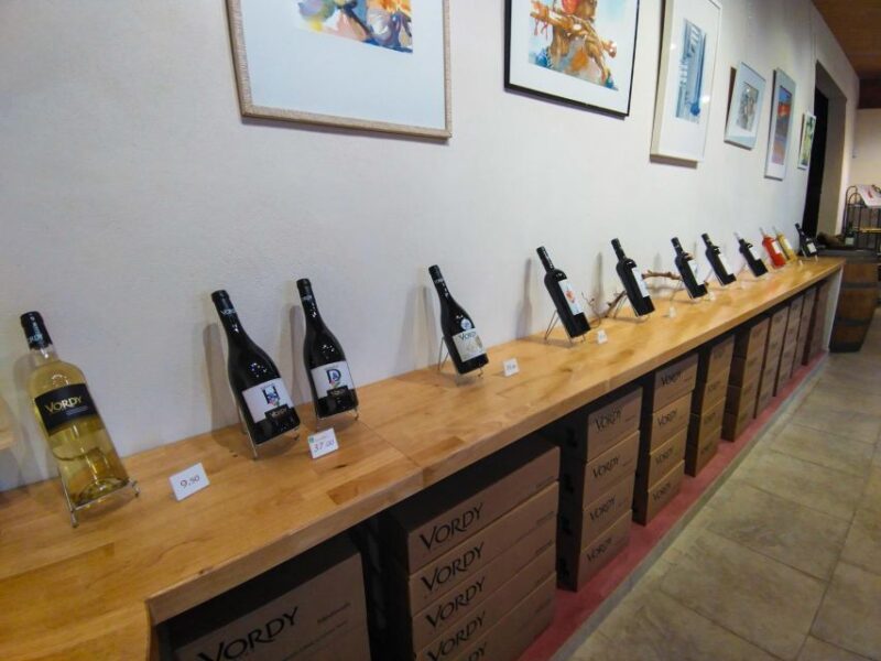 Oeno VTT Electrique Day: Wine Tour and Tasting - Key Points