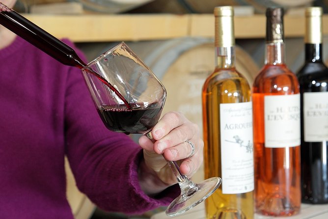 Oenological Animation From the Vine to the Wine - Accessibility and Additional Information