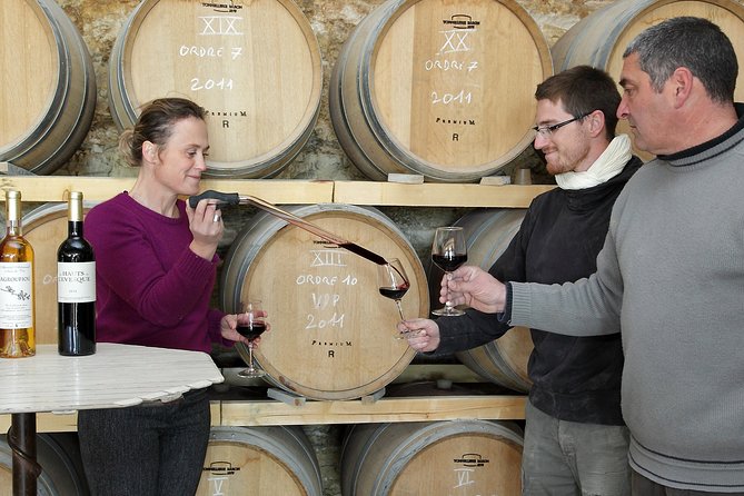 Oenological Animation From the Vine to the Wine - Highlights of the Tour