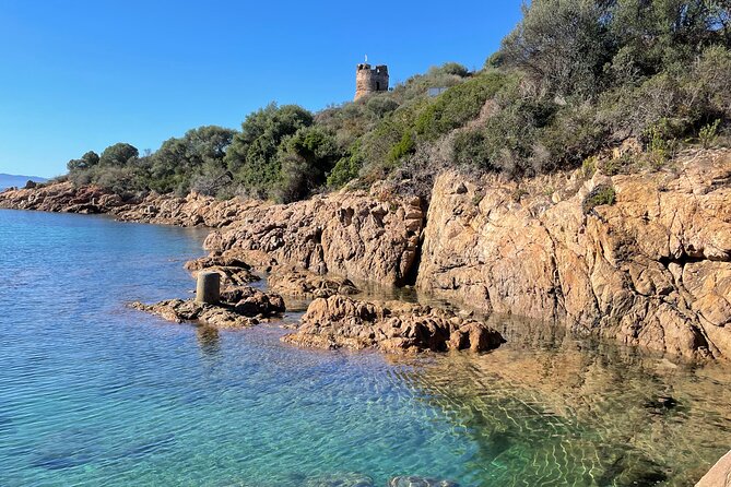 Of Sagone/Cargèse Cruise Walk Swimming and Leisure - Inclusions and Amenities