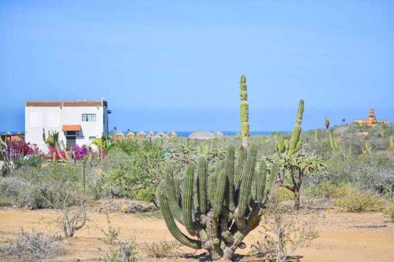 Off-Road Adventure: All-Day Jeep Expedition in Todos Santos - Pickup and Drop-off Details