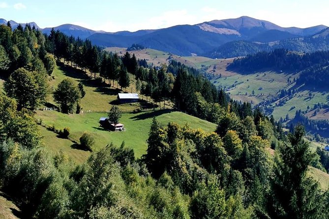 Off Road Adventures in Wild Carpathians - 5 Days - Wildlife Observation Activities