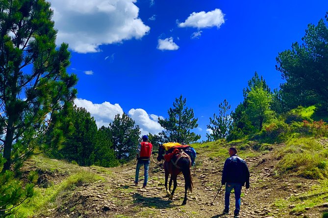 Off Road Albania Tours Osumi Canyon to Vjosa River, Përmet (ARG) - Health and Accessibility Information