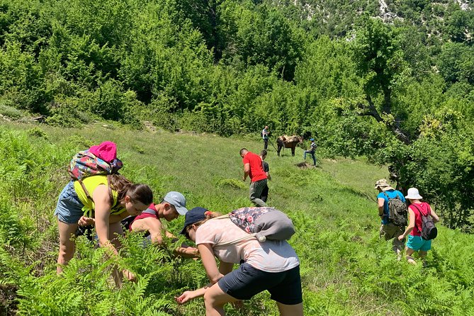 Off Road Albania Tours Osumi Canyon to Vjosa River, Përmet (ARG) - Discovering Vjosa River