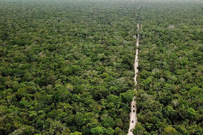 Off Road ATV Tour at the Akumal Monkey Rescued Animals Sanctuary - Discovering the Monkey Sanctuary