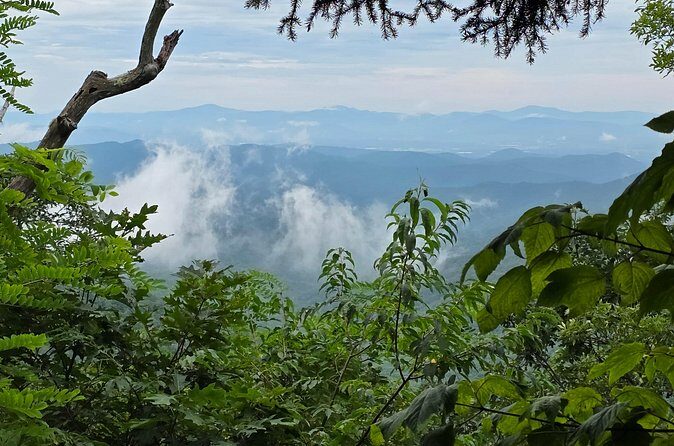 Off-Road Backroads Tour - The Value of This Experience