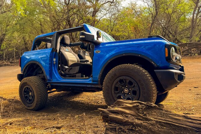 Off Road Coastal Tour 4x4 Vehicle With Snorkel, Photo and Video - Tour Details