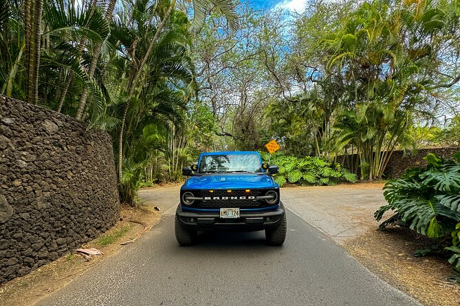 Off Road Coastal Tour 4x4 Vehicle With Snorkel, Photo and Video - Thrilling Off-Road Experience