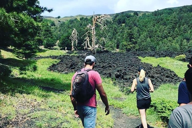 Off-Road Excursion - Terrain and Scenery