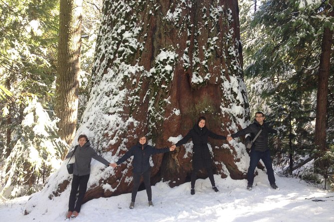Off-Road Giant Sequoia 4x4 Tour - Location and Meeting Point
