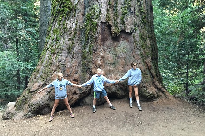 Off-Road Giant Sequoia 4x4 Tour - Experienced Driver and Guide