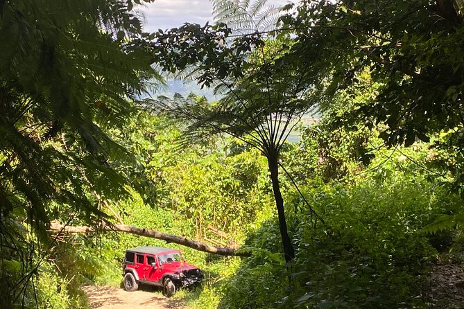 Off-Road Jeep Adventure From Carolina, Puerto Rico - Explore Rainforests and Beaches