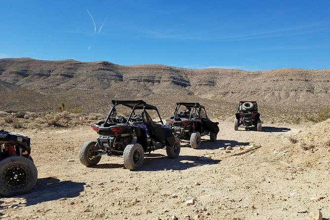 Off Road Mojave Desert Tour in Las Vegas - Guest Reviews