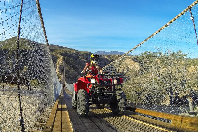 Off-Road Runners ATV Tour in Los Cabos - ATV Specifications
