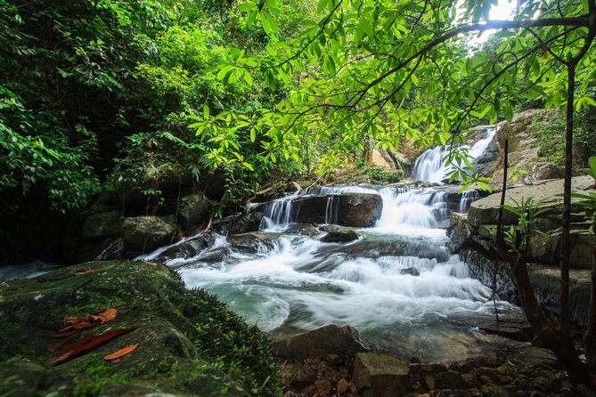 Off Road Safari Khao Lak - Discovering Wildlife in Khao Lak