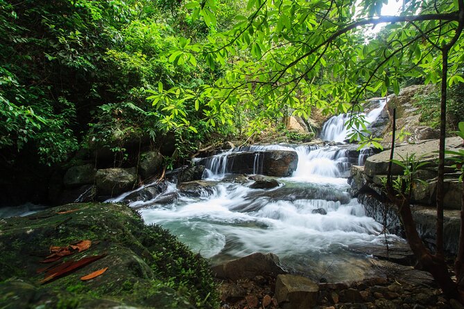 Off Road Safari Khao Lak - Savoring the Local Cuisine