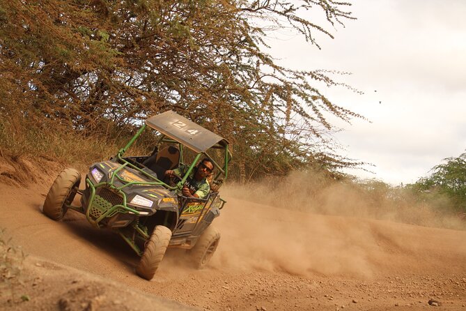 Off-Road Side-by-Side ATV & 3 Ziplines Adventure - Activity Details